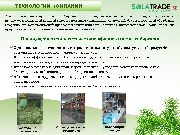  ТЕХНОЛОГИИ КОМПАНИИ Комплекс масляно-эфирный пихты сибирской – это природный высококачественный продукт, извлекаемый из