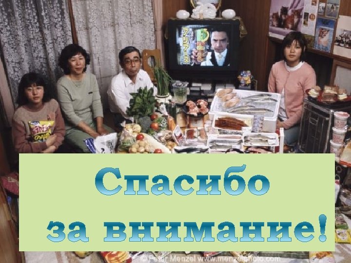 Финансовый план: основная валюта проекта – иена; период расчета показателей – квартал; источник финансирования