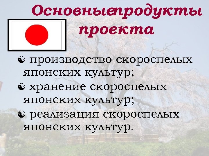 Основныепродукты проекта производство скороспелых японских культур; хранение скороспелых японских культур; реализация скороспелых японских культур.