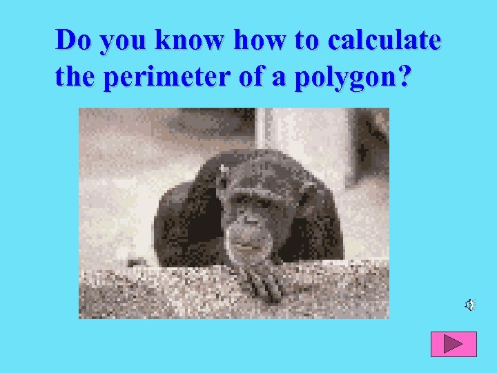 Do you know how to calculate the perimeter of a polygon? 