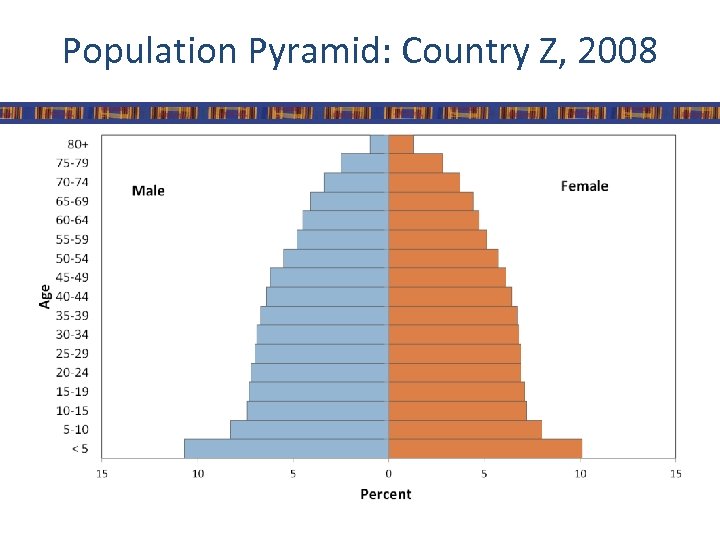 Population Pyramid: Country Z, 2008 