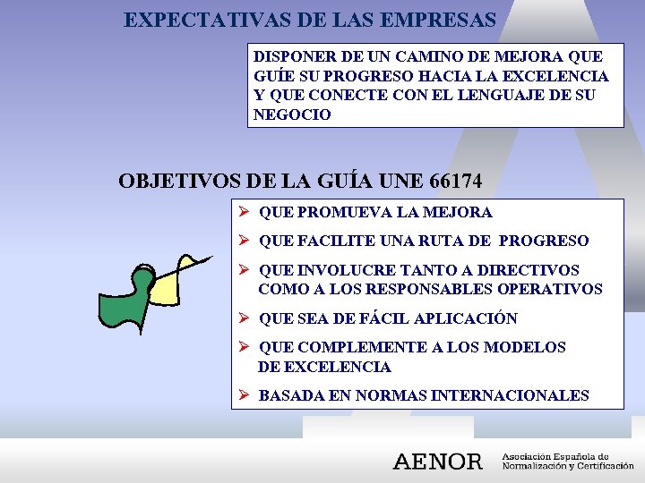 EXPECTATIVAS DE LAS EMPRESAS DISPONER DE UN CAMINO DE MEJORA QUE GUÍE SU PROGRESO