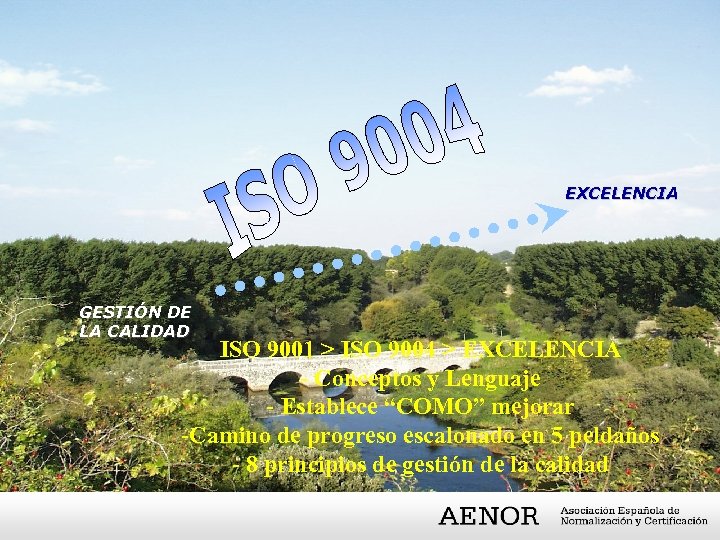 EXCELENCIA GESTIÓN DE LA CALIDAD ISO 9001 > ISO 9004 > EXCELENCIA - Conceptos