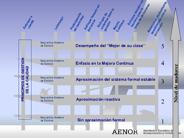 PRINCIPIOS DE GESTION DE LA CALIDAD Requisitos Sistema de Calidad 5 Requisitos Sistema de