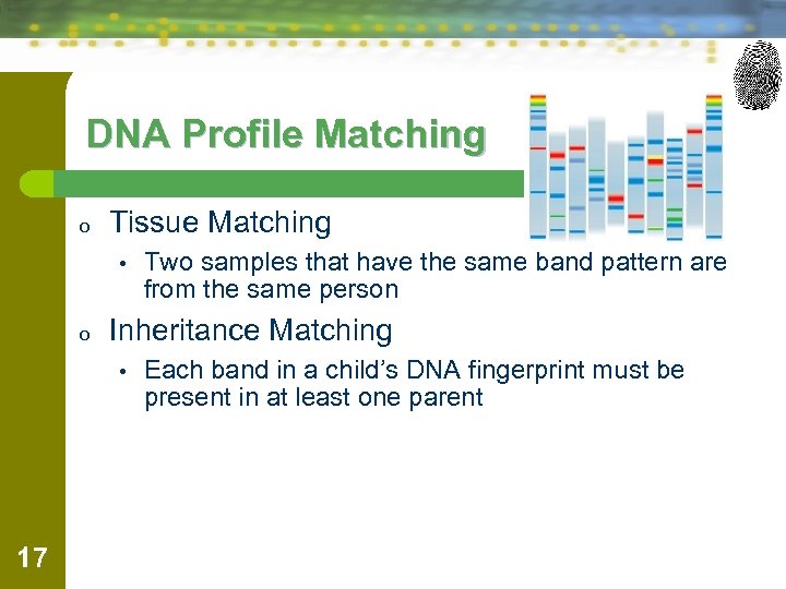 DNA Profile Matching o Tissue Matching • o Inheritance Matching • 17 Two samples