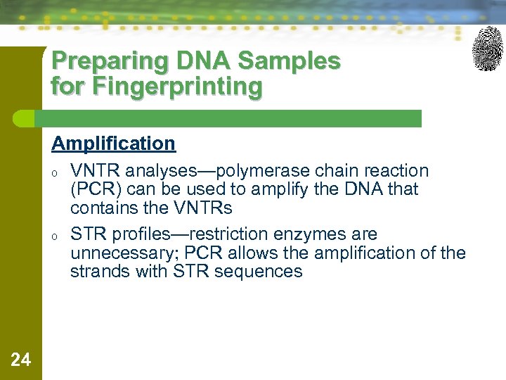 Preparing DNA Samples for Fingerprinting Amplification o o 24 VNTR analyses—polymerase chain reaction (PCR)