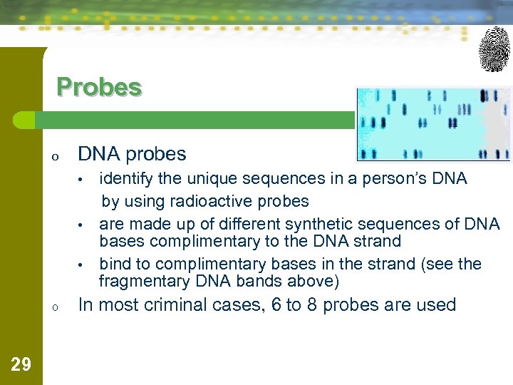 Probes o DNA probes • • • o 29 identify the unique sequences in