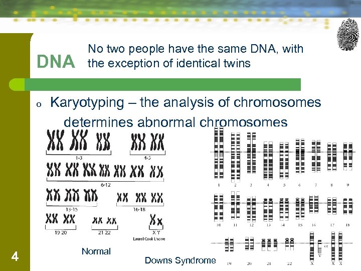 DNA o 4 No two people have the same DNA, with the exception of
