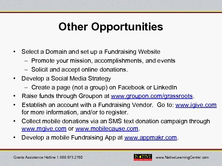 Other Opportunities • Select a Domain and set up a Fundraising Website – Promote