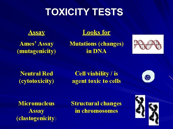 TOXICITY TESTS Assay Looks for Ames’ Assay (mutagenicity) Mutations (changes) in DNA Neutral Red