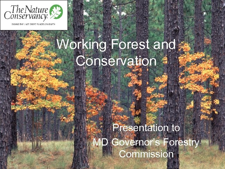 Working Forest and Conservation Presentation to MD Governor’s Forestry Commission 