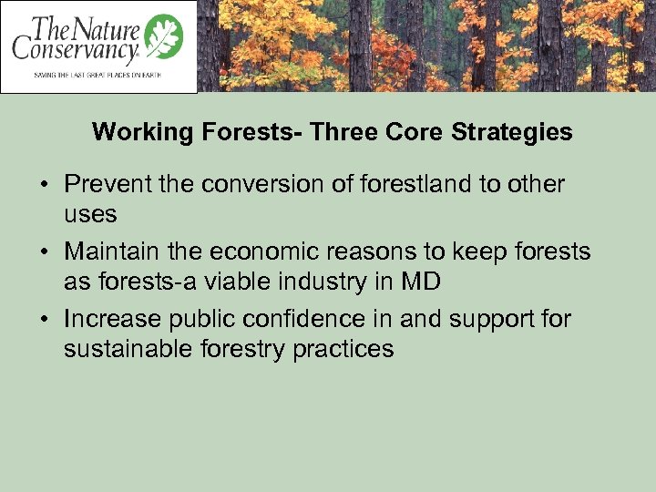 Working Forests- Three Core Strategies • Prevent the conversion of forestland to other uses