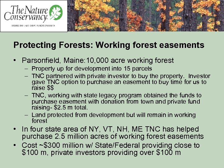 Protecting Forests: Working forest easements • Parsonfield, Maine: 10, 000 acre working forest –