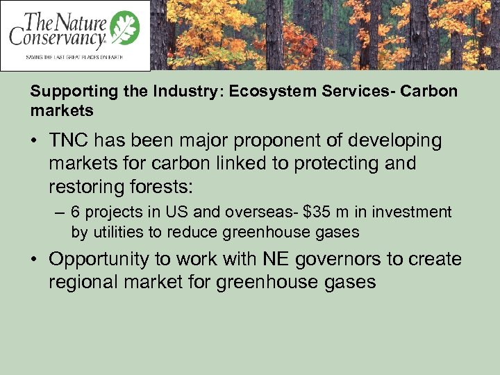 Supporting the Industry: Ecosystem Services- Carbon markets • TNC has been major proponent of
