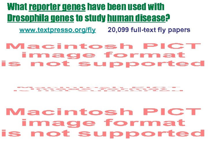What reporter genes have been used with Drosophila genes to study human disease? www.