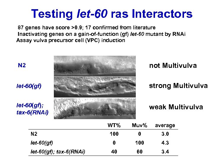 Testing let-60 ras Interactors 87 genes have score >0. 9; 17 confirmed from literature