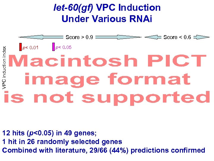 let-60(gf) VPC Induction Under Various RNAi VPC induction index Score > 0. 9 p<