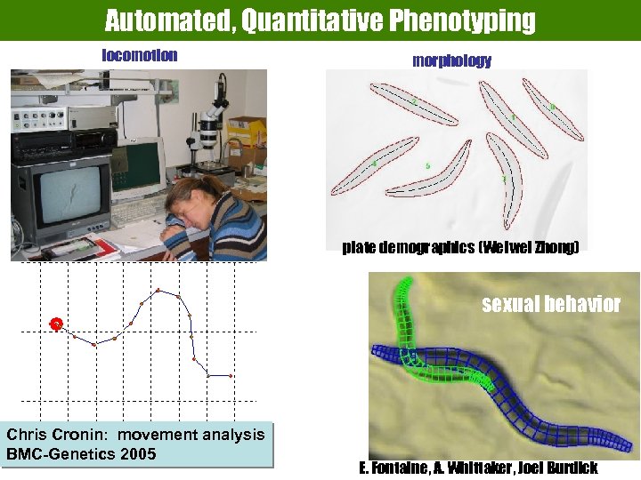 Automated, Quantitative Phenotyping locomotion morphology generative graphics plate demographics (Weiwei Zhong) sexual behavior Chris