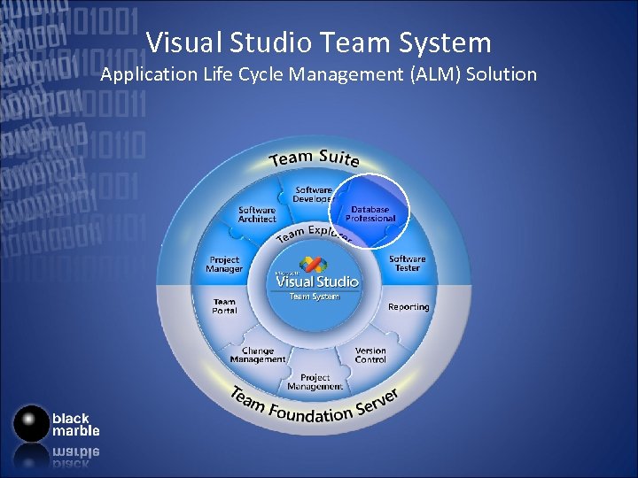 Visual Studio Team System Application Life Cycle Management (ALM) Solution 