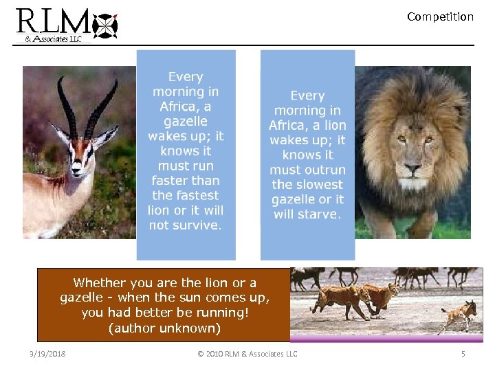 Competition Whether you are the lion or a gazelle - when the sun comes