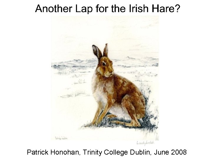 Patrick Honohan, Trinity College Dublin, June 2008 