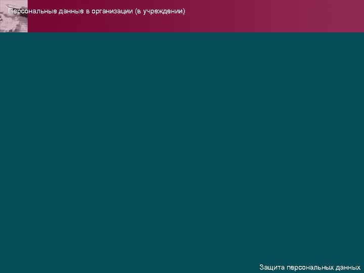 Персональные данные в организации (в учреждении) Защита персональных данных 