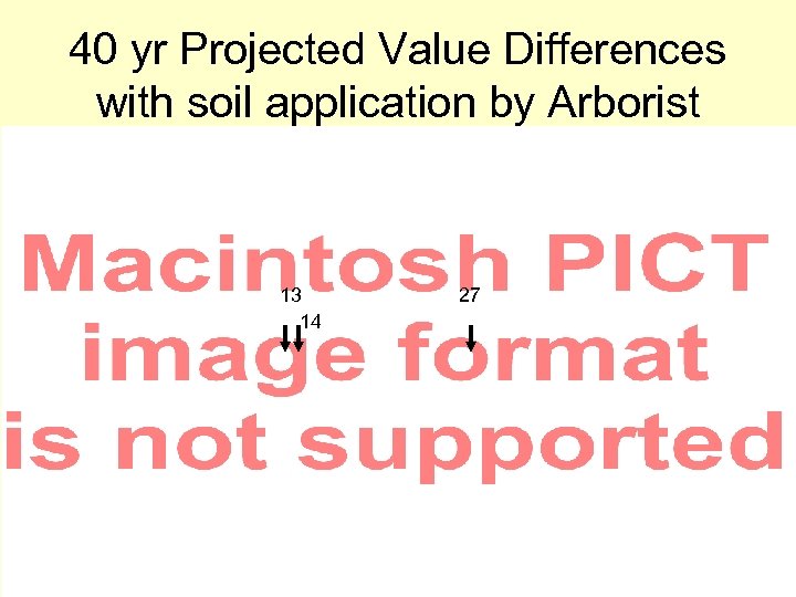 40 yr Projected Value Differences with soil application by Arborist 13 14 27 
