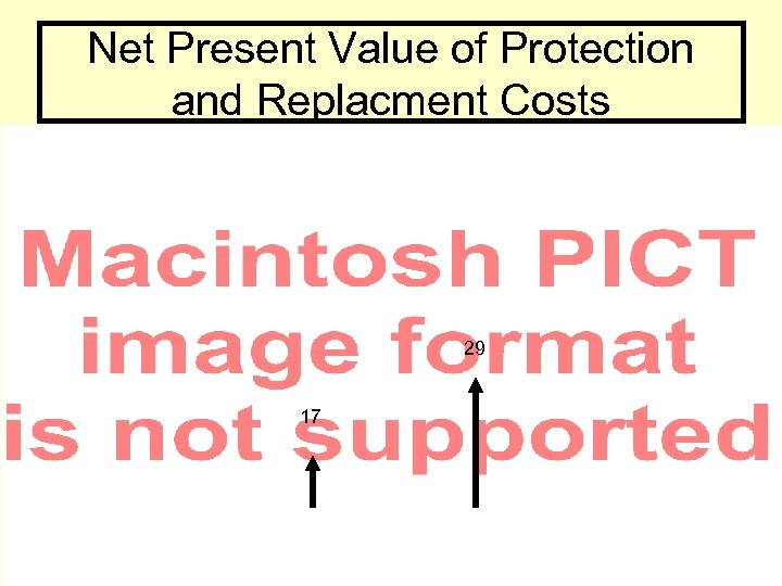 Net Present Value of Protection and Replacment Costs 29 17 