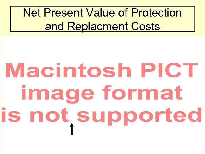 Net Present Value of Protection and Replacment Costs 