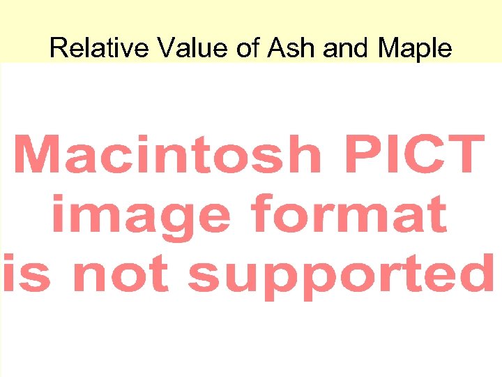 Relative Value of Ash and Maple 