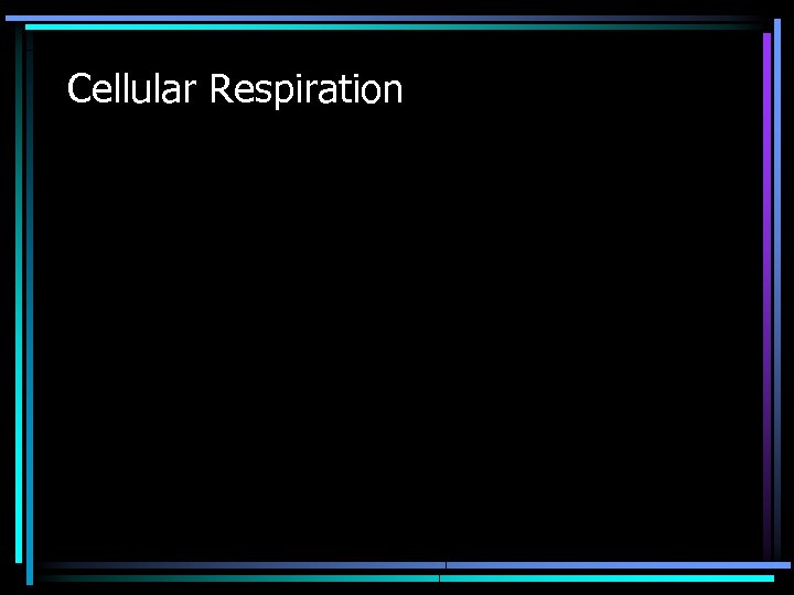 Cellular Respiration 