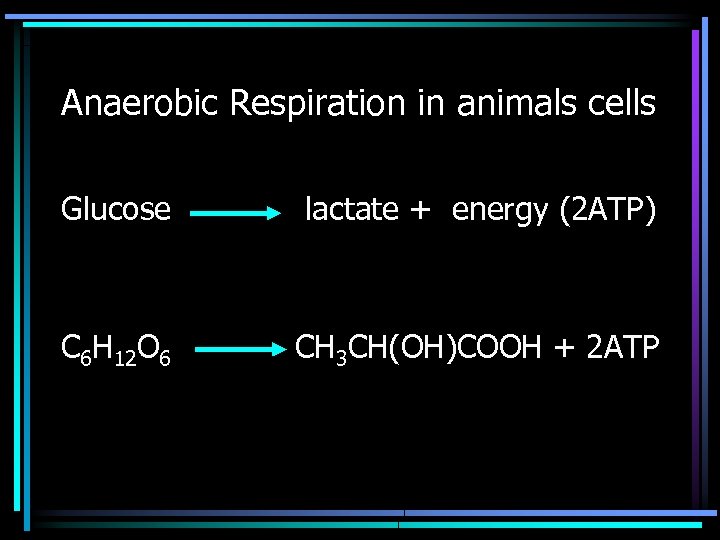 Anaerobic Respiration in animals cells Glucose lactate + energy (2 ATP) C 6 H