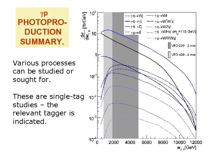 γp PHOTOPRODUCTION SUMMARY. Various processes can be studied or sought for. These are single-tag