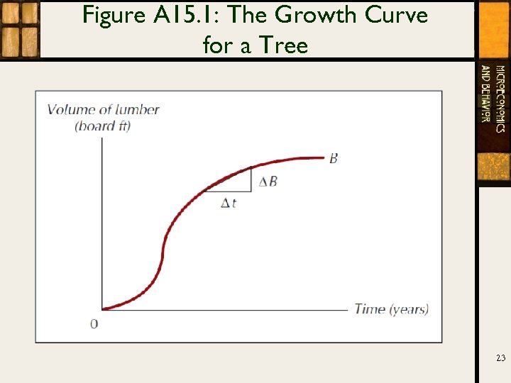 Figure A 15. 1: The Growth Curve for a Tree 23 