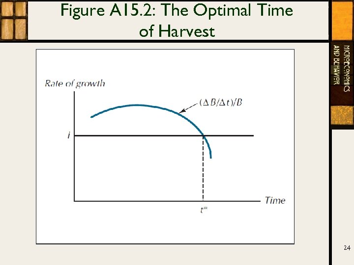 Figure A 15. 2: The Optimal Time of Harvest 24 