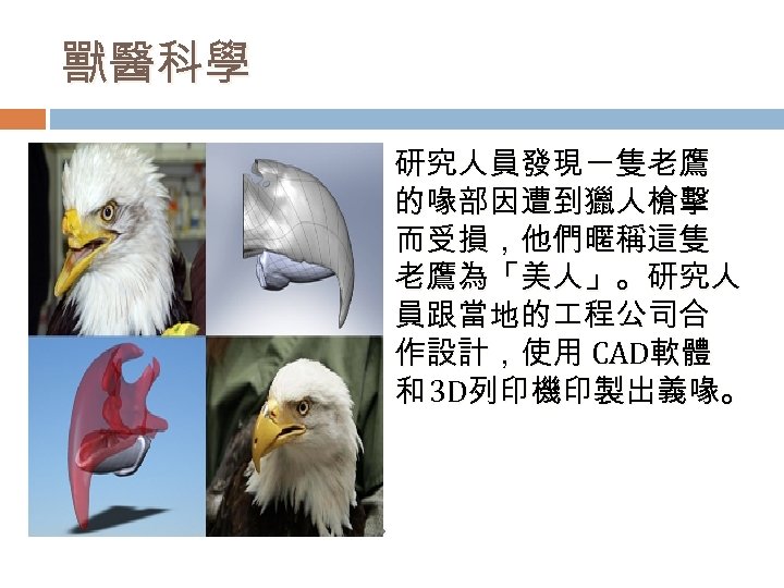 獸醫科學 研究人員發現一隻老鷹 的喙部因遭到獵人槍擊 而受損，他們暱稱這隻 老鷹為「美人」。研究人 員跟當地的 程公司合 作設計，使用 CAD軟體 和 3 D列印機印製出義喙。 