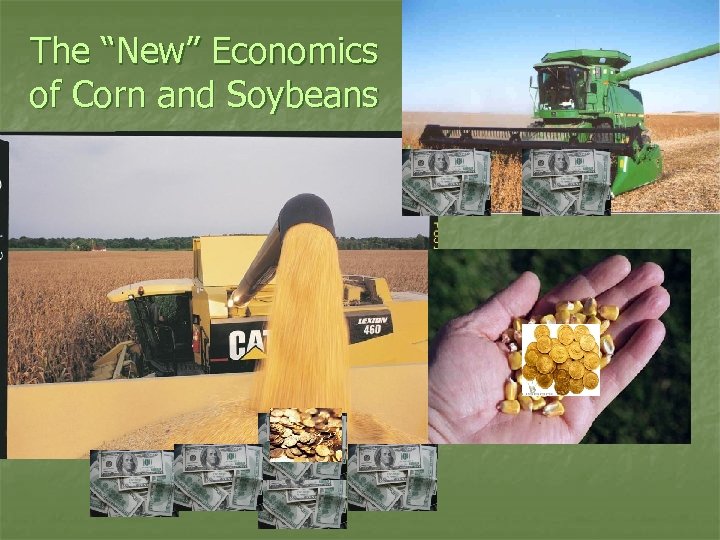 The “New” Economics of Corn and Soybeans 