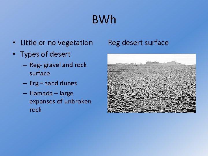 BWh • Little or no vegetation • Types of desert – Reg- gravel and
