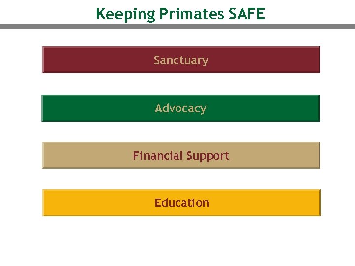 Keeping Primates SAFE Sanctuary Advocacy Financial Support Education 