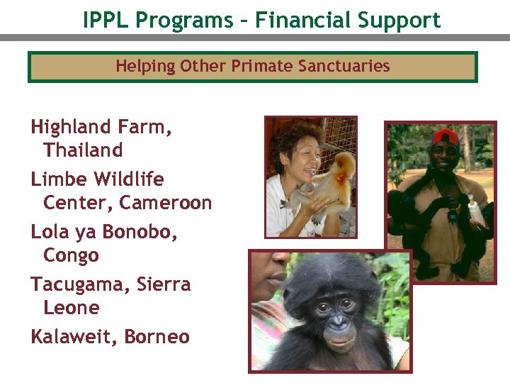 IPPL Programs – Financial Support Helping Other Primate Sanctuaries Highland Farm, Thailand Limbe Wildlife