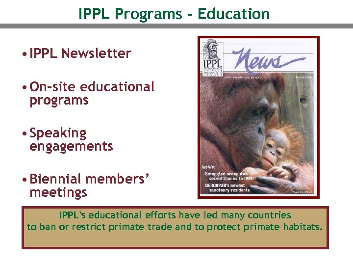 IPPL Programs - Education • IPPL Newsletter • On-site educational programs • Speaking engagements