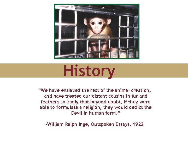 History “We have enslaved the rest of the animal creation, and have treated our