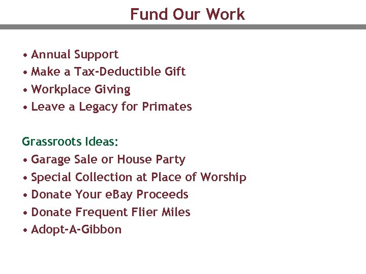 Fund Our Work • Annual Support • Make a Tax-Deductible Gift • Workplace Giving