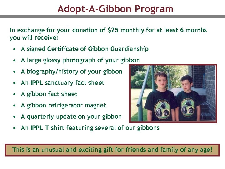 Adopt-A-Gibbon Program In exchange for your donation of $25 monthly for at least 6