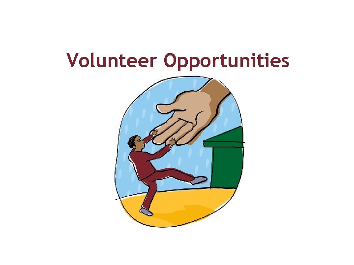 Volunteer Opportunities 