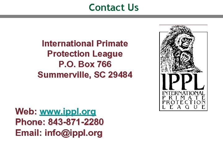 Contact Us International Primate Protection League P. O. Box 766 Summerville, SC 29484 Web: