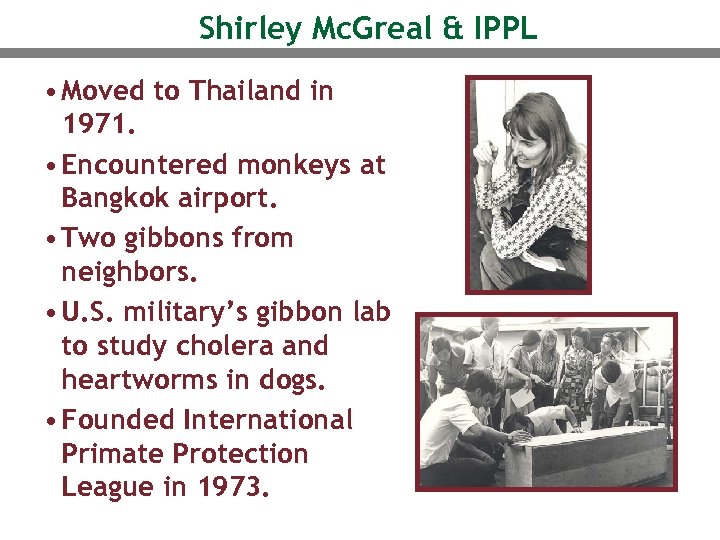 Shirley Mc. Greal & IPPL • Moved to Thailand in 1971. • Encountered monkeys