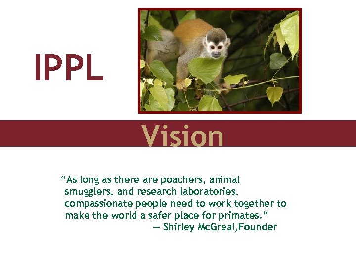 IPPL Vision “As long as there are poachers, animal smugglers, and research laboratories, compassionate