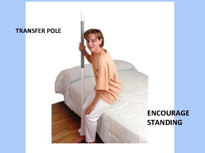 TRANSFER POLE ENCOURAGE STANDING 