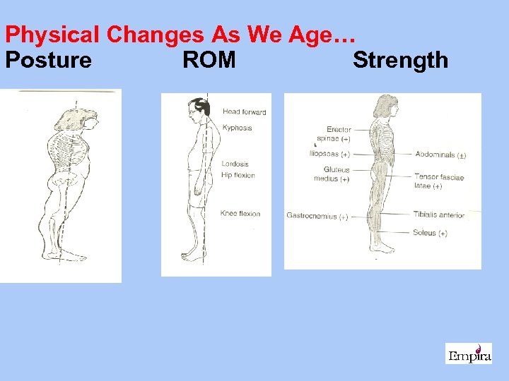 Physical Changes As We Age… Posture ROM Strength 